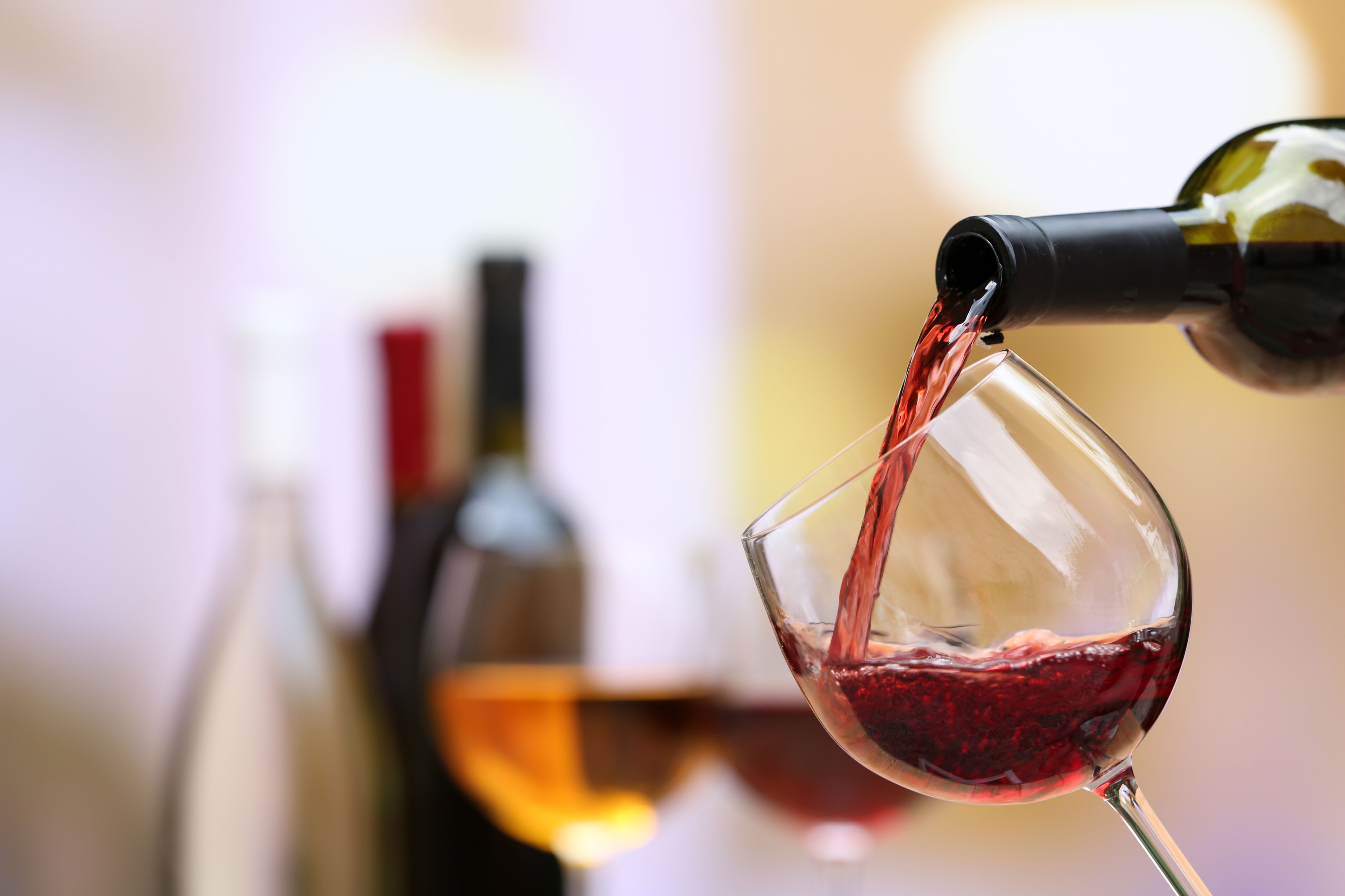 Wine Tasting: Wines of France