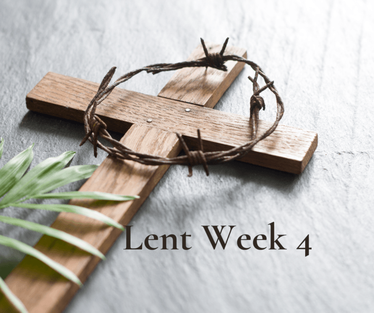Week 4: Embracing the newness of Jesus