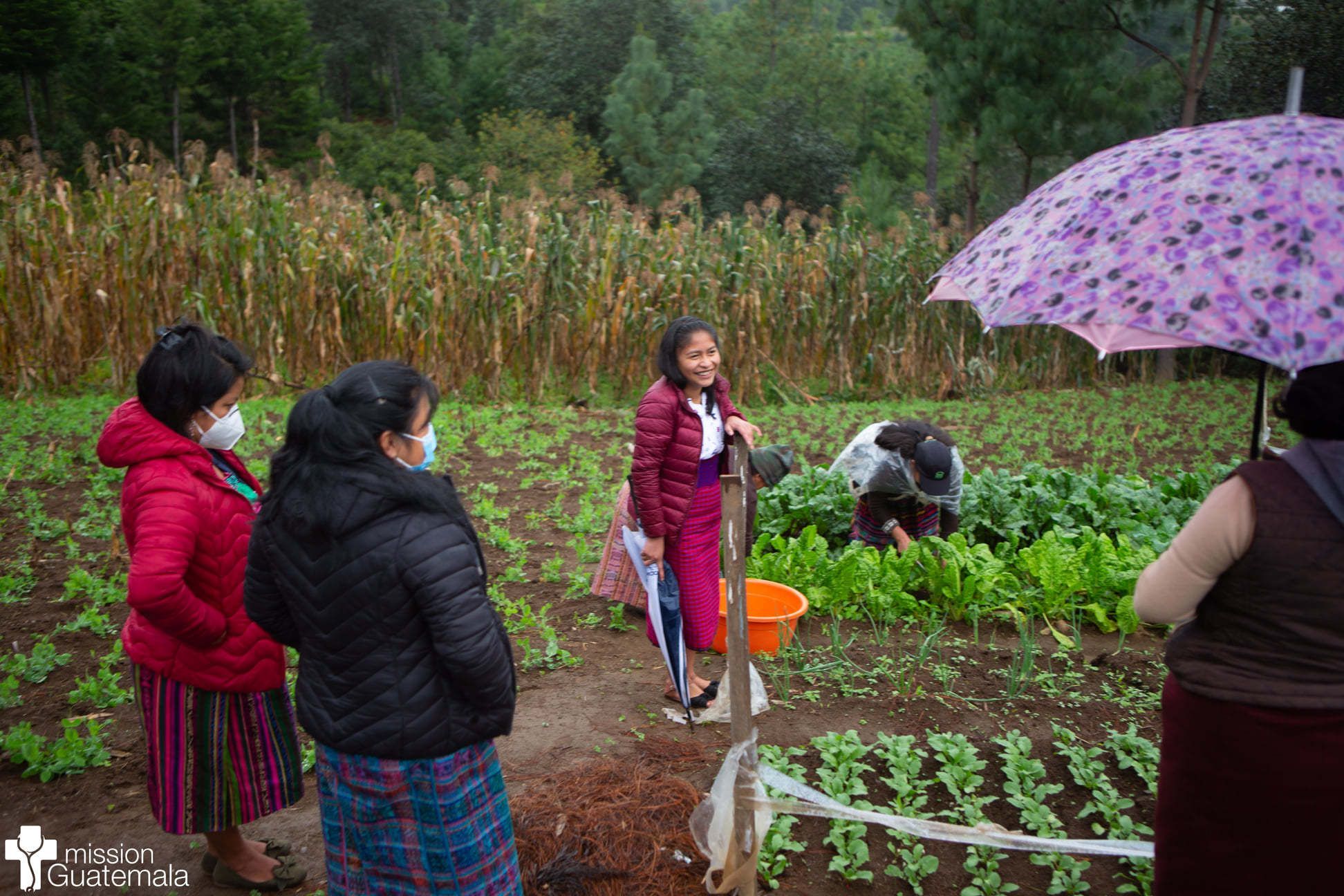 A Look at Conchita's Garden