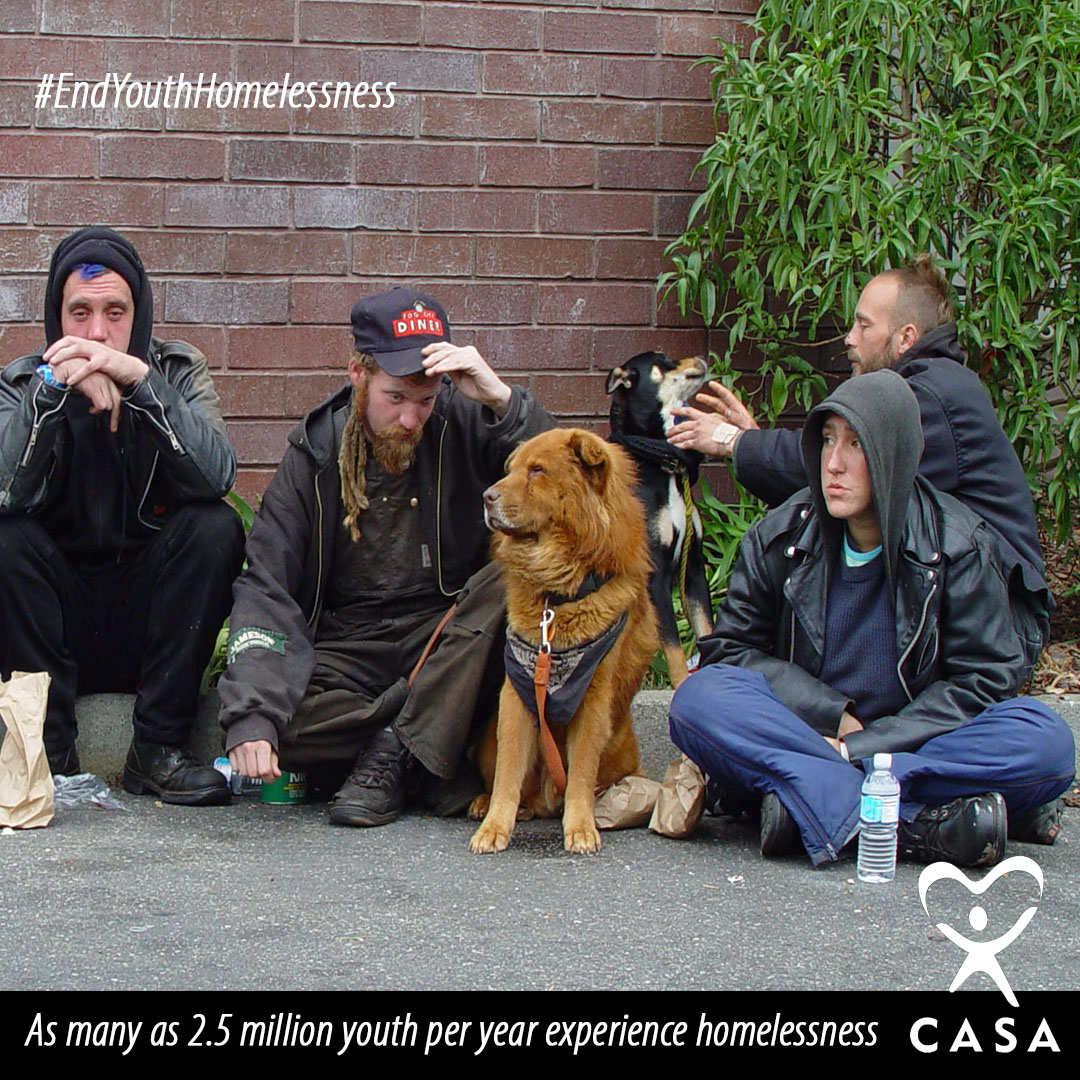 Raising Awareness of Homelessness in Foster Care