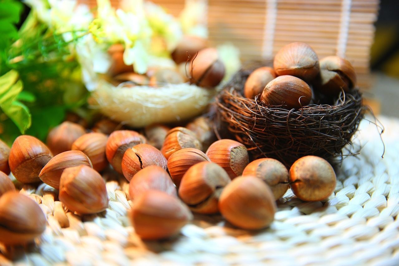 Hazelnuts: A Harvest for the Holidays