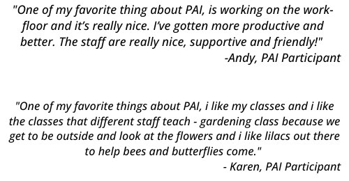 Two quotes from PAI participants explaining what they love about attending PAI.