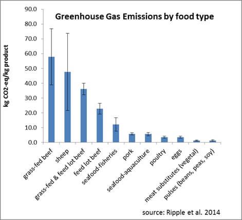 No, Grass-Fed Beef is Not Better for the Planet