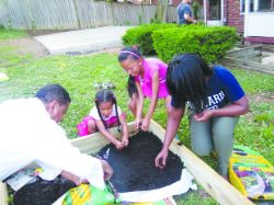 HUCM PHYSICIANS VOLUNTEER TO PLANT GARDENS AND IMPROVE CHILDHOOD NUTRITION IN SOUTHEAST DC