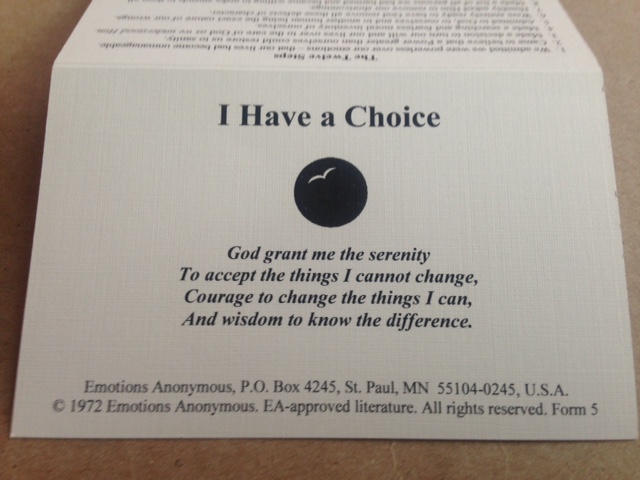 Item #M5 — "I Have a Choice, Just For Today" Pocket Card