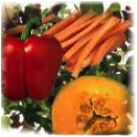 This is a picture of vegetables (a source of Vitamin A) The vegetables included are red peppers, carrots, and a type of squash