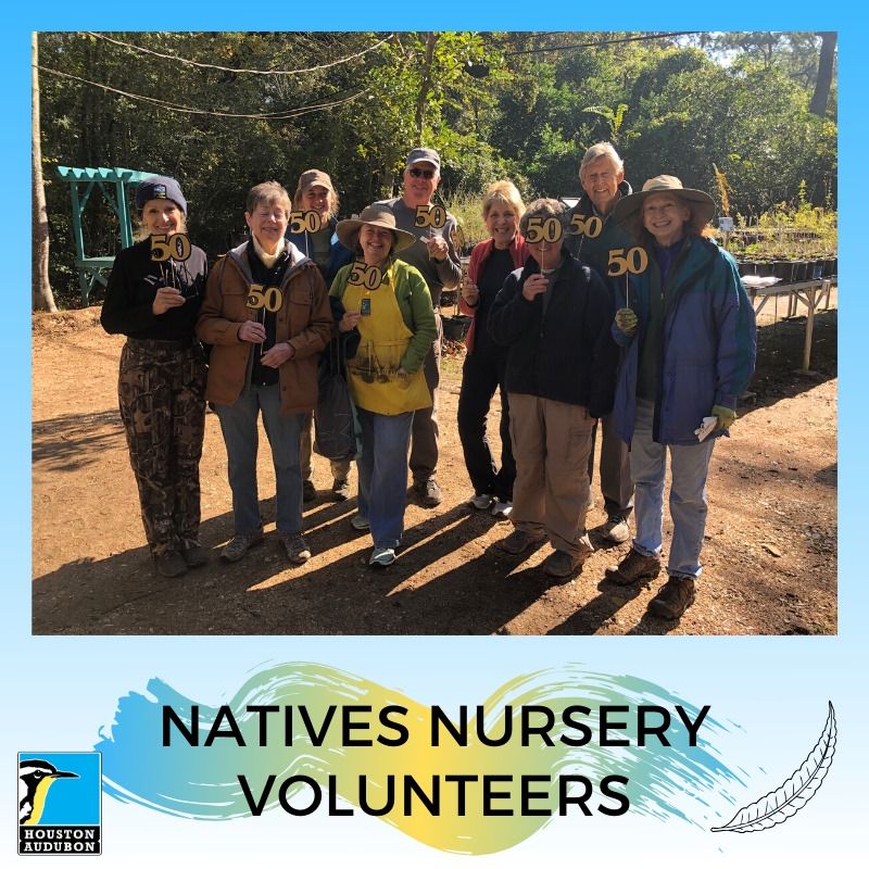 Natives Nursery Volunteers
