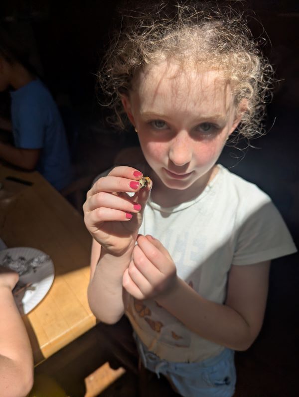 Tamworth Nature Nuts