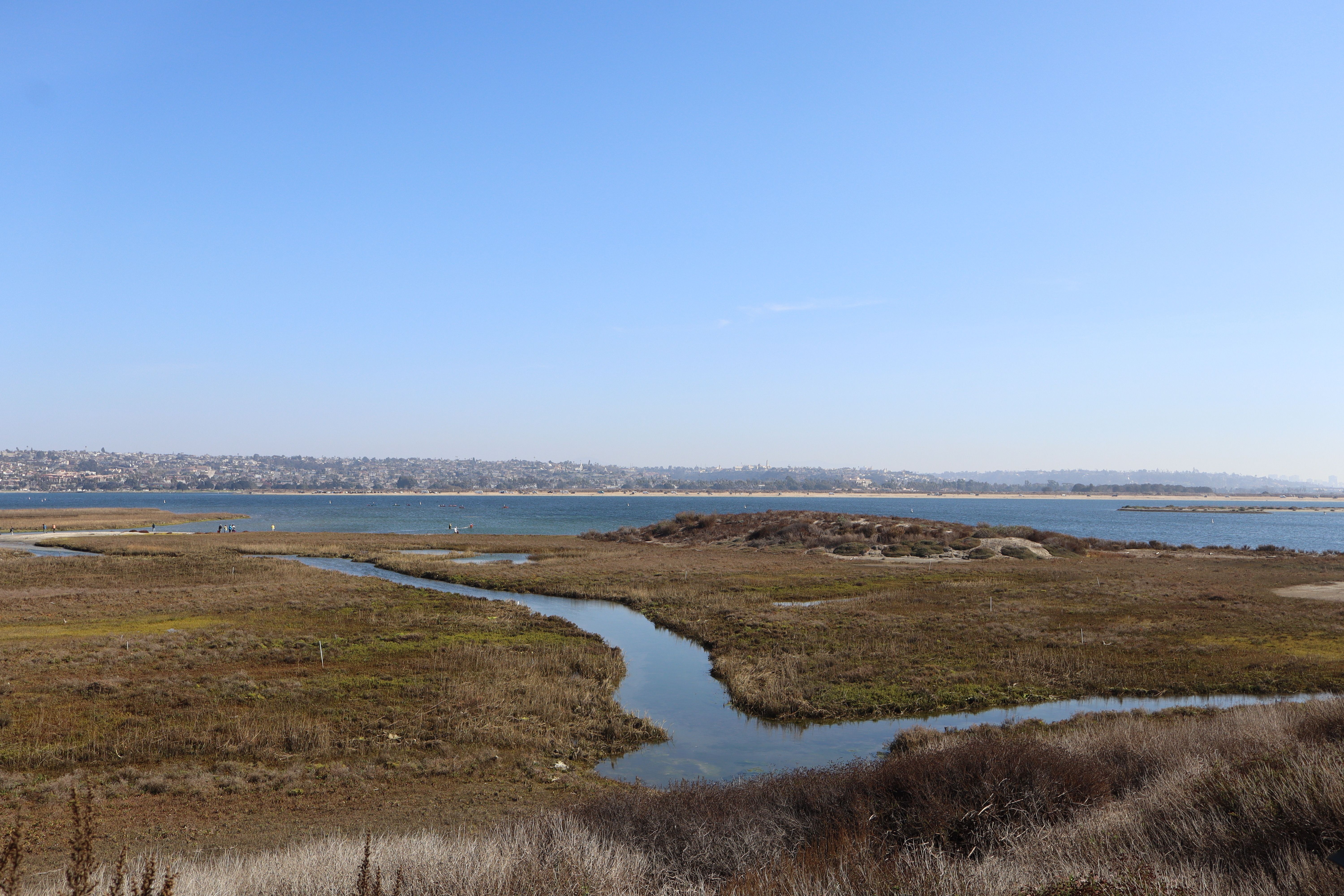 Tell the City Council to Fund ReWild
