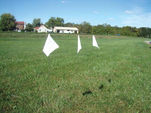 Marking Flags (white)*