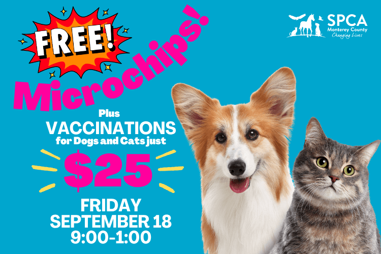 Free Microchips + $25 Vaccinations