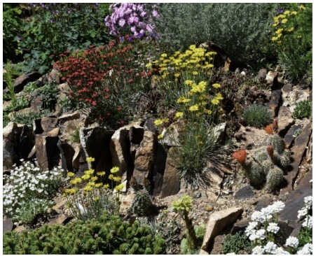 Garden Tour