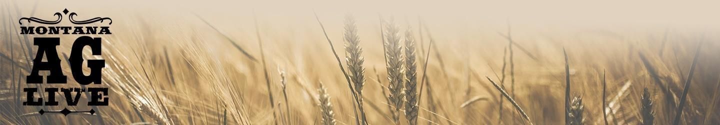 Keeping Weeds in Check; PBS with Melissa Maggio