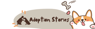 Adoption Happy Endings