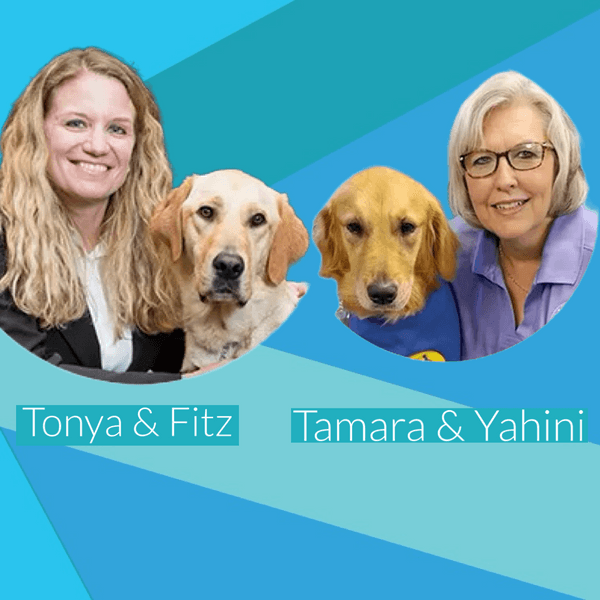 Unleashing Hope: The Impact of Courthouse Facility Dogs in Child ...