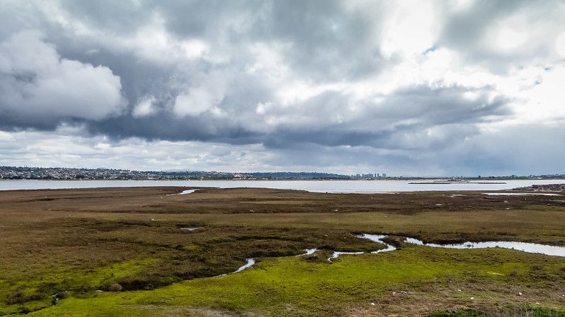 Love Your Wetlands Day