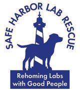 Safe Harbor Lab Rescue