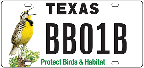 Houston Audubon Announces Texas License Plate Benefiting Bird Conservation