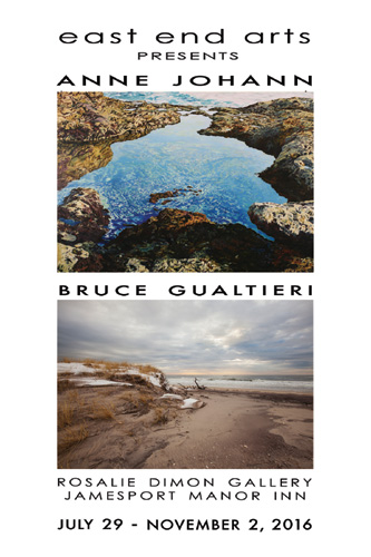 New Art Show at the Rosalie Dimon Gallery Featuring Artists Anne Johann & Bruce Gualtieri (posted August 1, 2016)