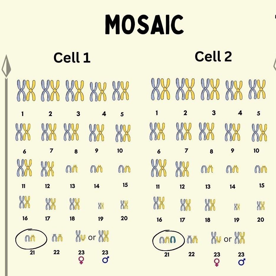 Mosaic