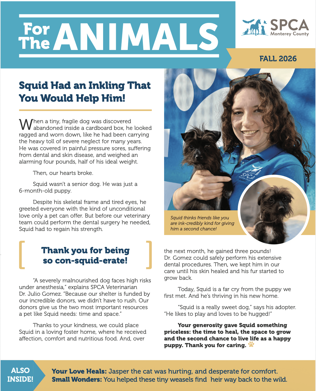 Fall 2026 SPCA Newsletter