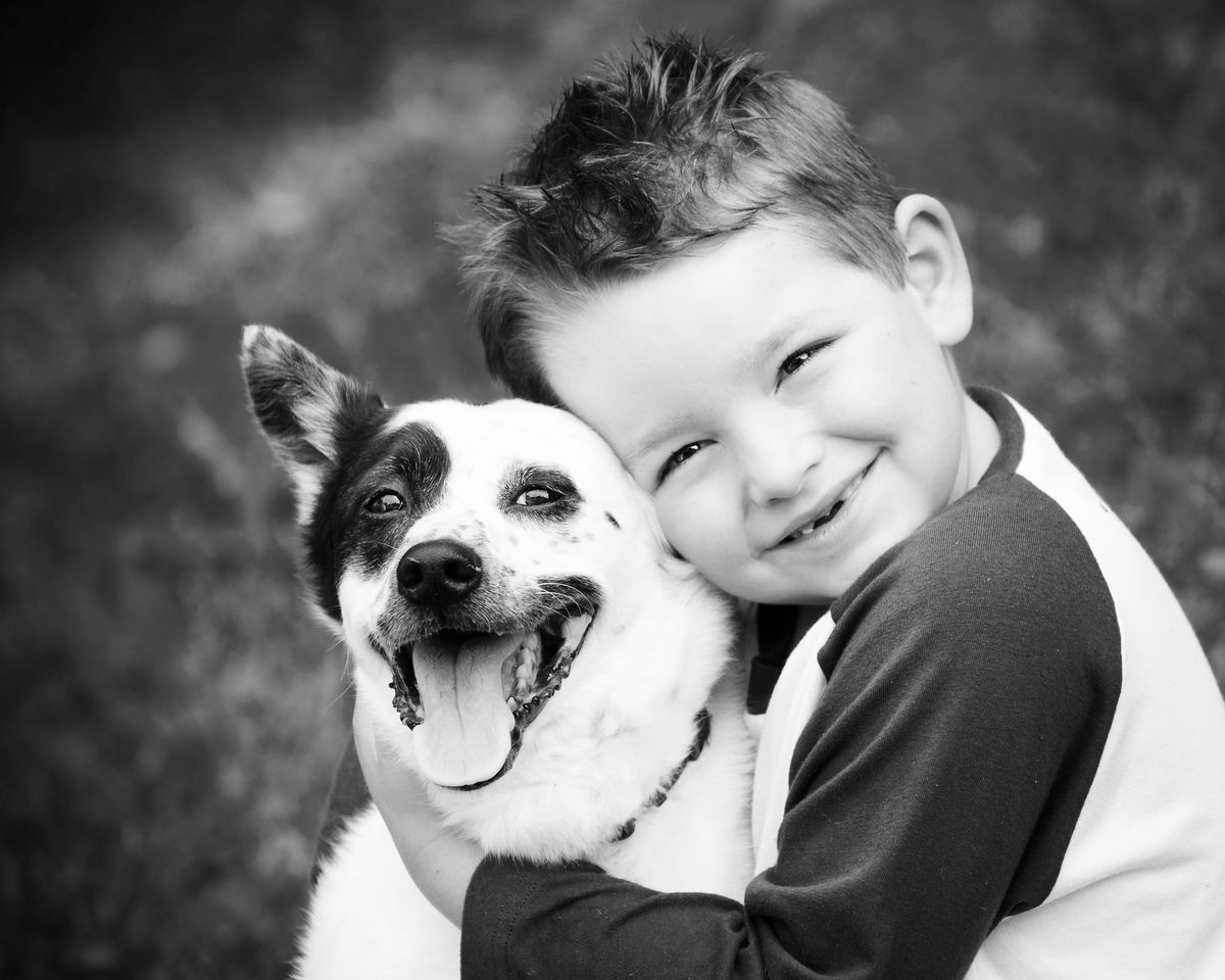 Animal Adoption & Spay / Neuter Center NoKill Animal Shelter Stanwood