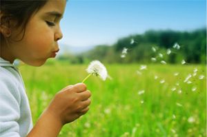 girl blowing dandelion seeds