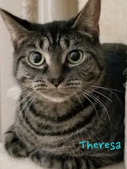 Theresa