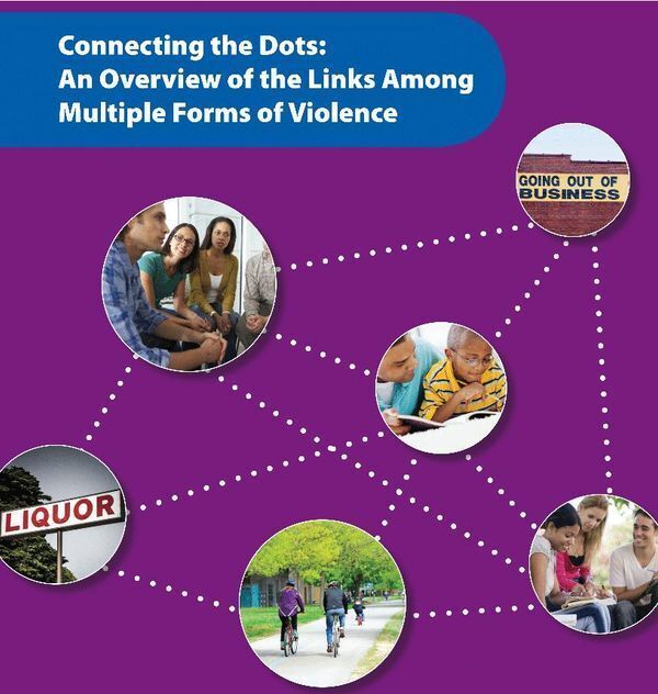 Connecting the Dots: An Overview of the Links Among Multiple Forms of Violence