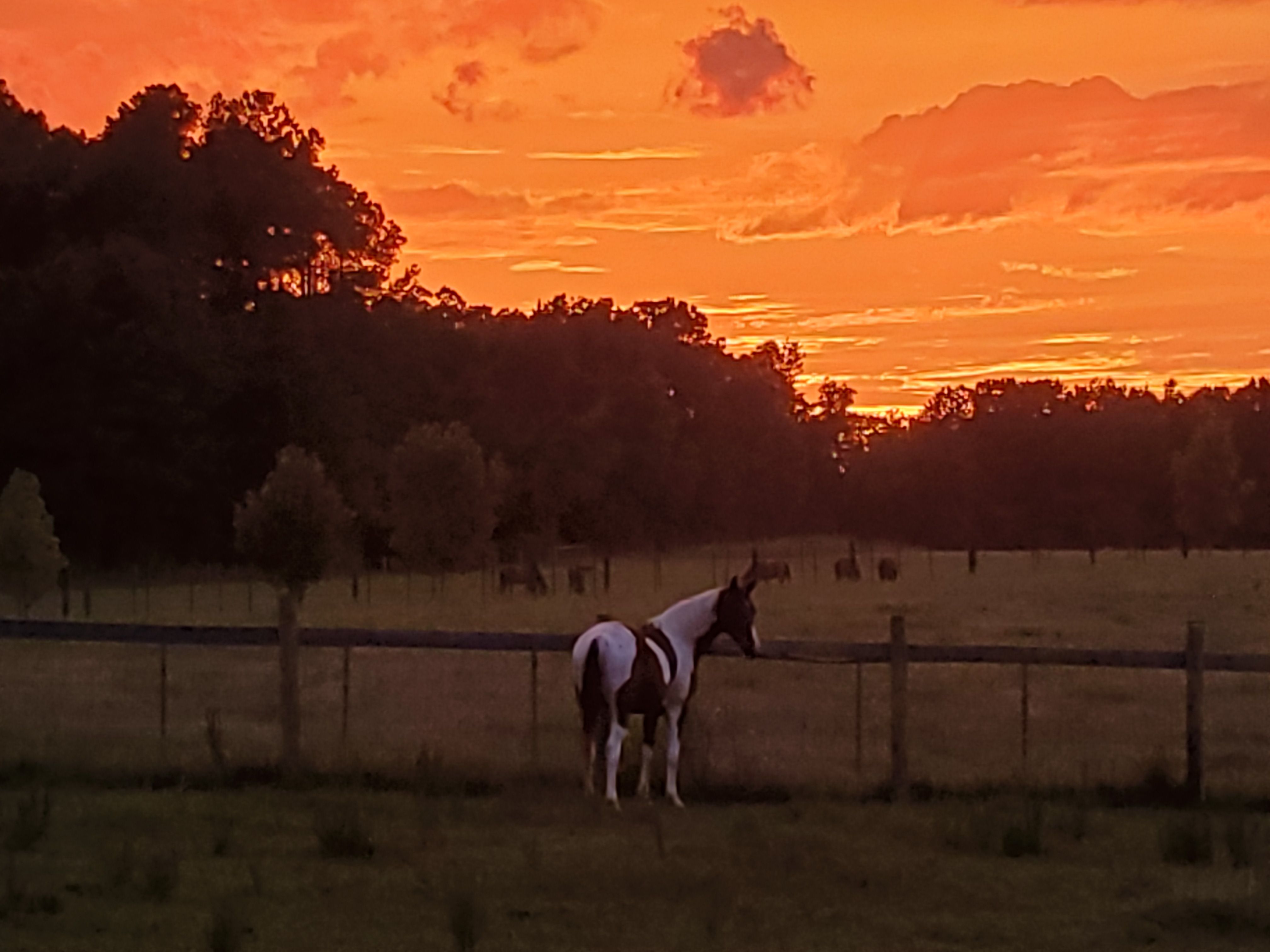 Sunsets and Sunrises