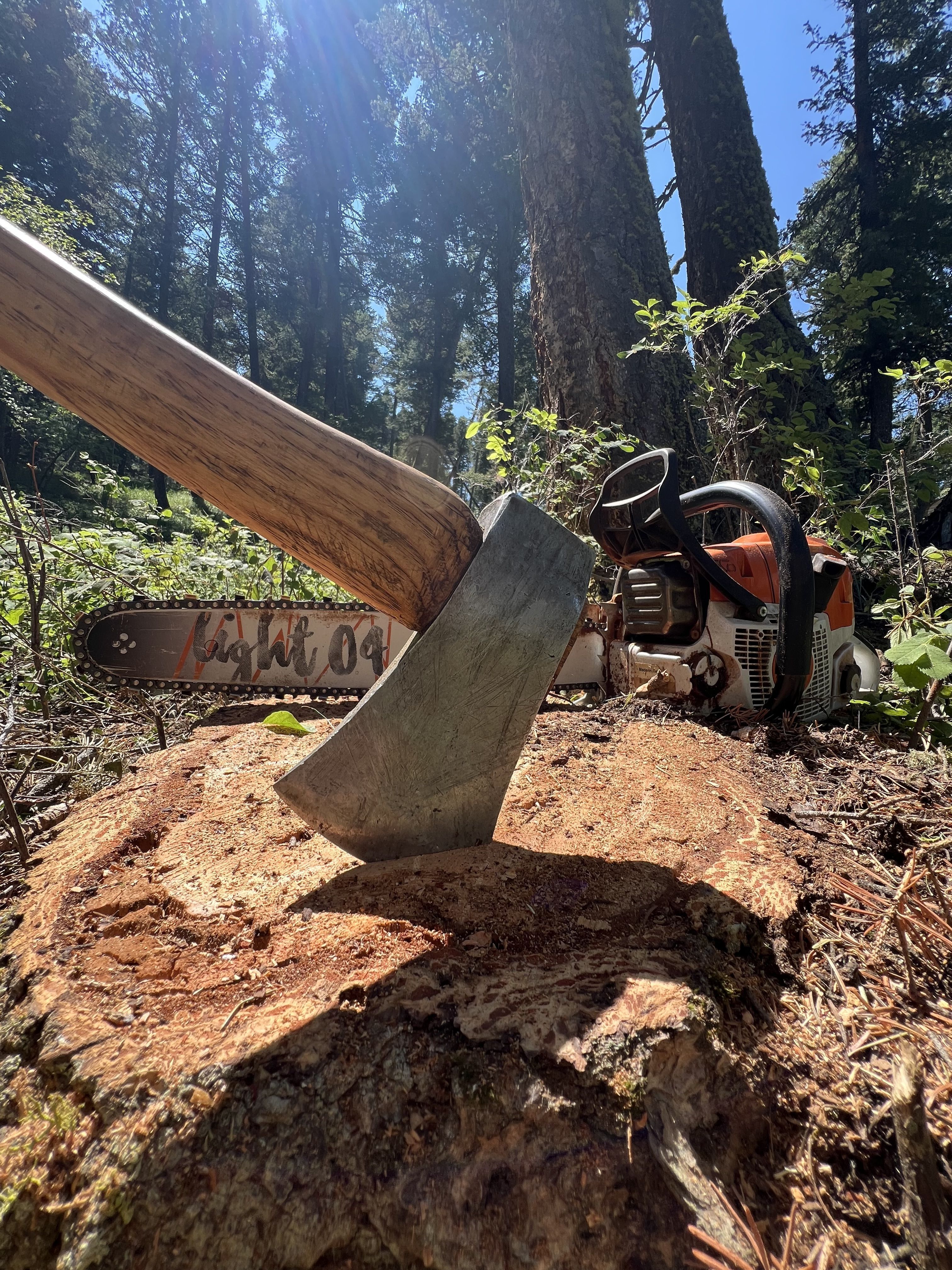 An axe is sticking out of a stump, with a chainsaw placed behind it