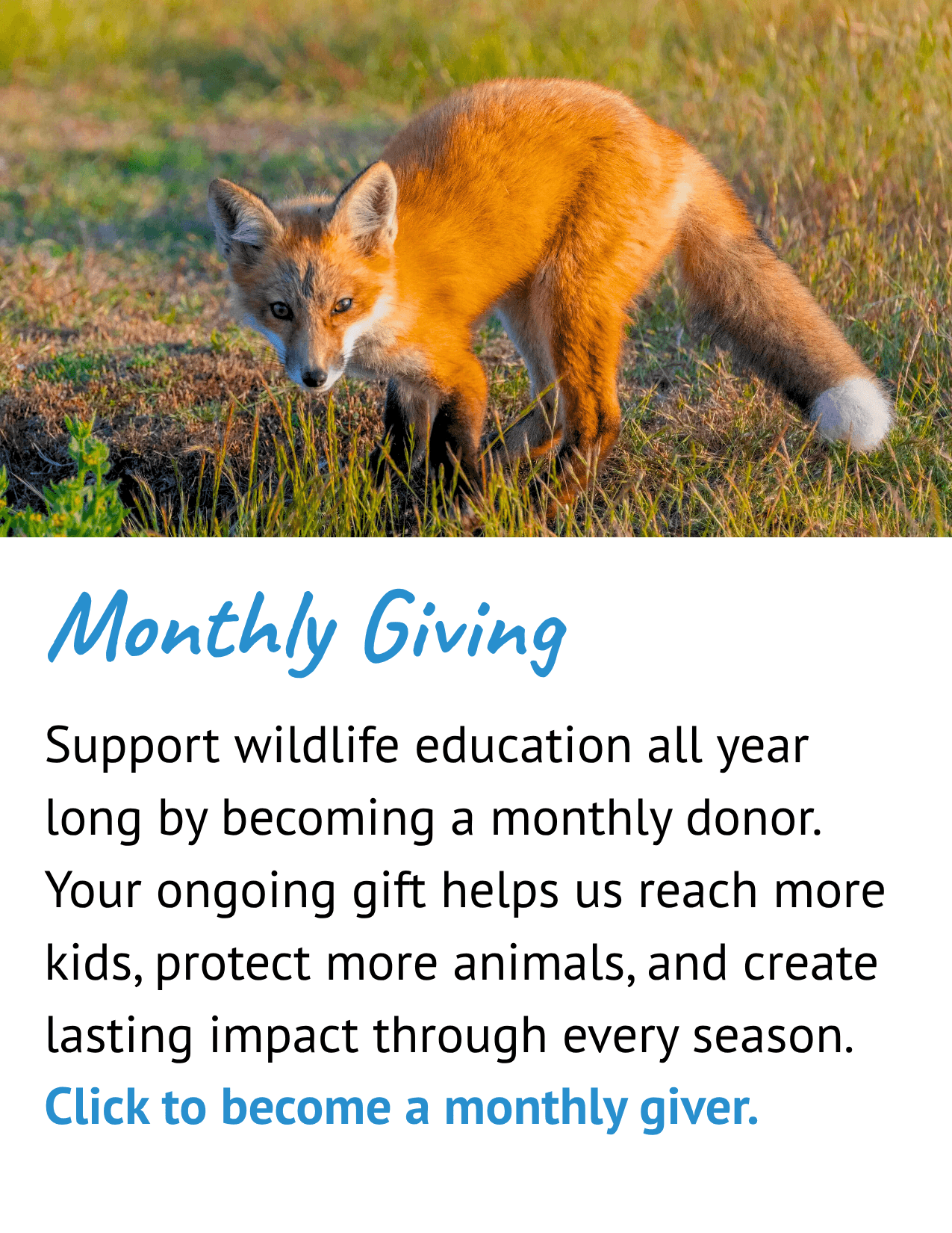 Monthly Giving