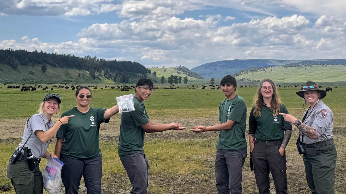 [Image Description: The Piikuni Lands Crew and NPS workers stand in front of a meadow in Yellowstone National Park, gesturing to the antelope scat they have collected for survey.]