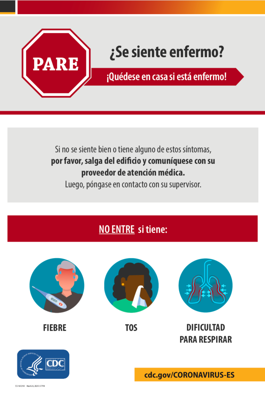 Large Laminated Posters (Spanish)