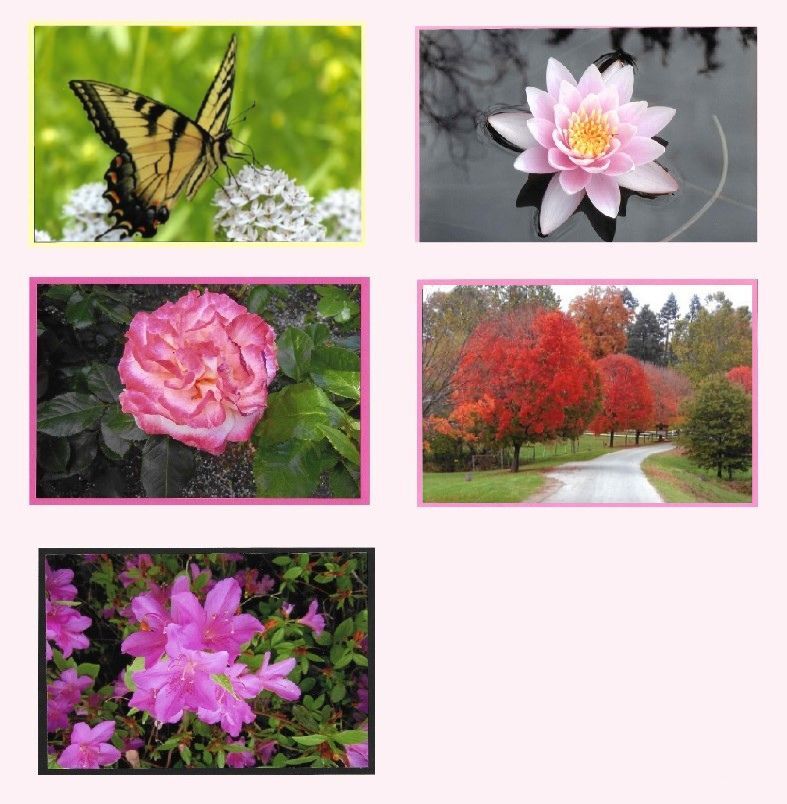Nature