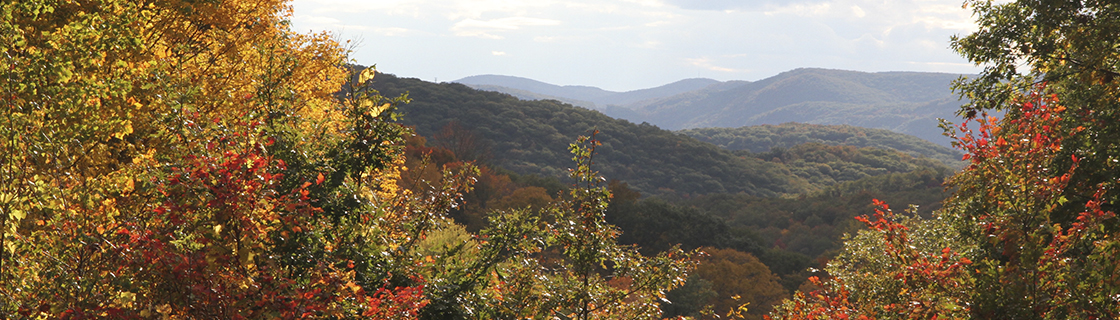 Family Farm Tour: October