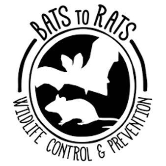 Bats to Rats