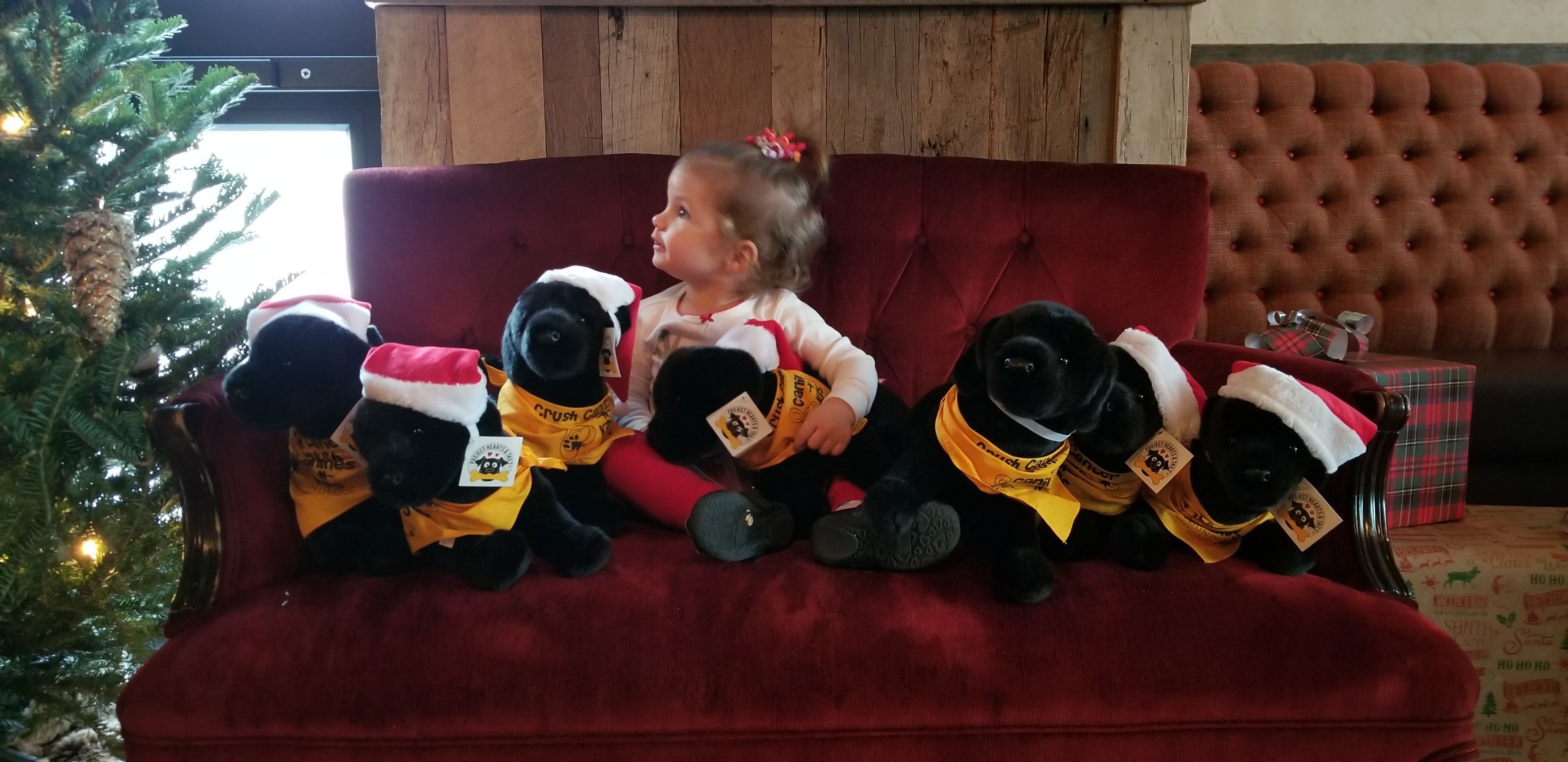 Canines-N-Kids Foundation Launches Holiday Giving Campaign