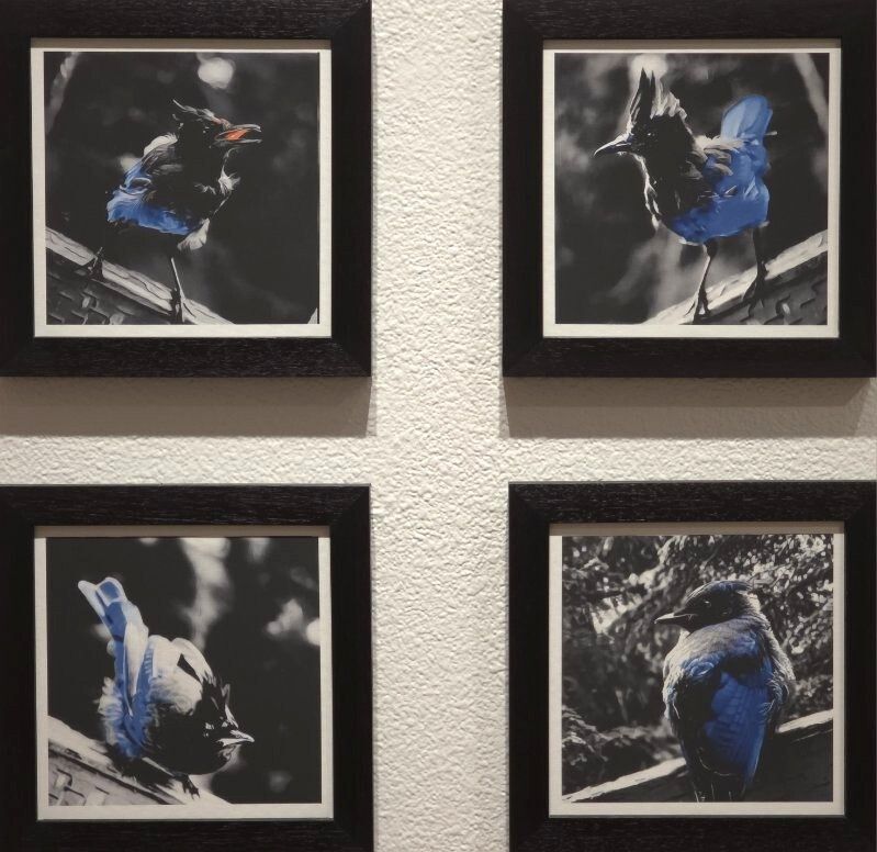 Michael McGinnis - A Scold Most Fowl