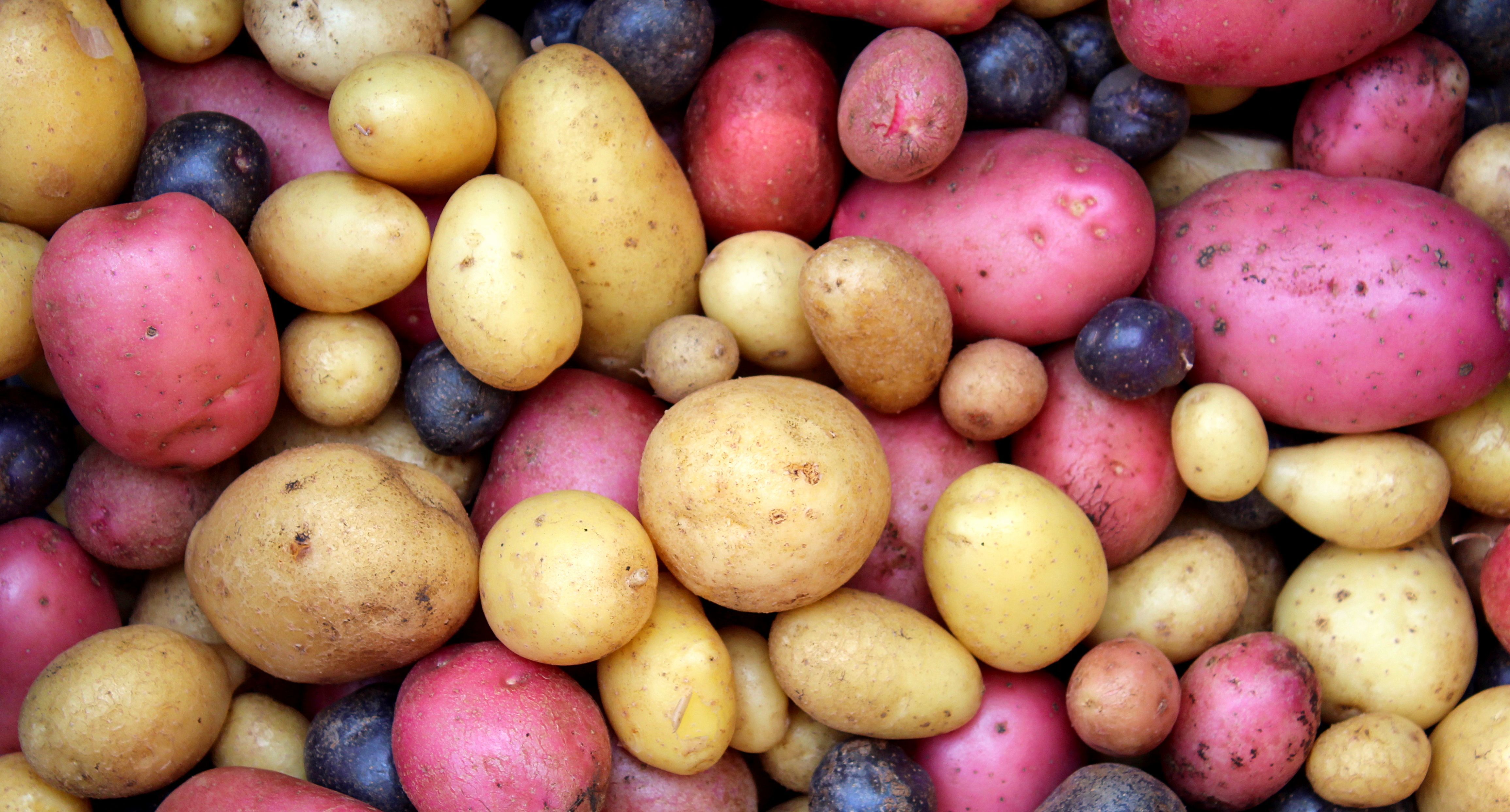 background image of potatoes