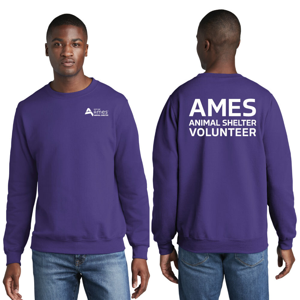 Port & Company® Core Fleece Crewneck Sweatshirt