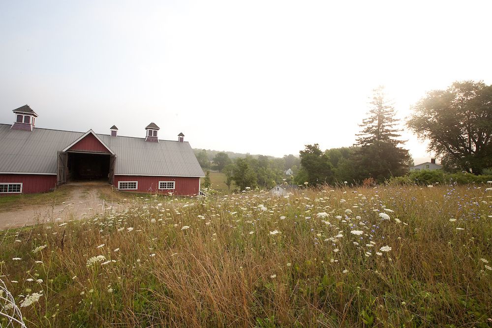 HV Farms Whole Duck | Hudson Valley