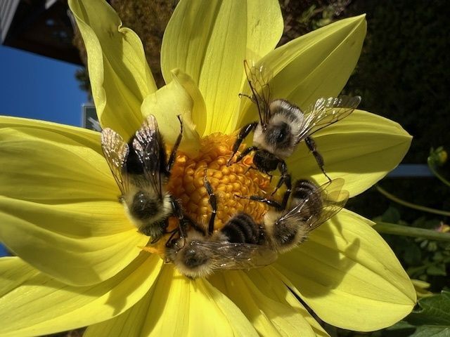 Naturalist Notes - Drought by Matt Maloney, Naturalist/Teacher at TMCC