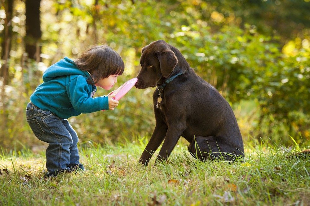 4 AGGRESSIVE CANCERS THAT AFFECT KIDS & DOGS: HOW WE CAN END CANCER AT BOTH ENDS OF THE LEASH