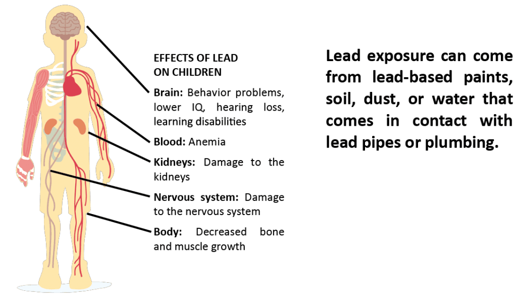 Effects of Lead