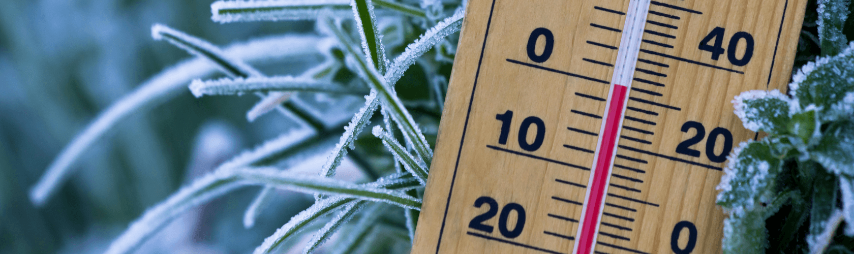 Image shows icy grass with a thermometer