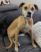 Rendezvous - ADOPTED