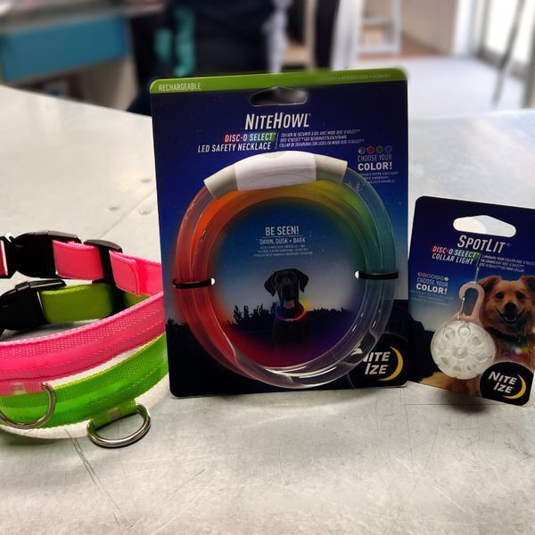 Light-Up Collars + Collar Light