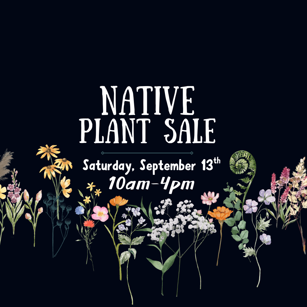 Native Plant Sale