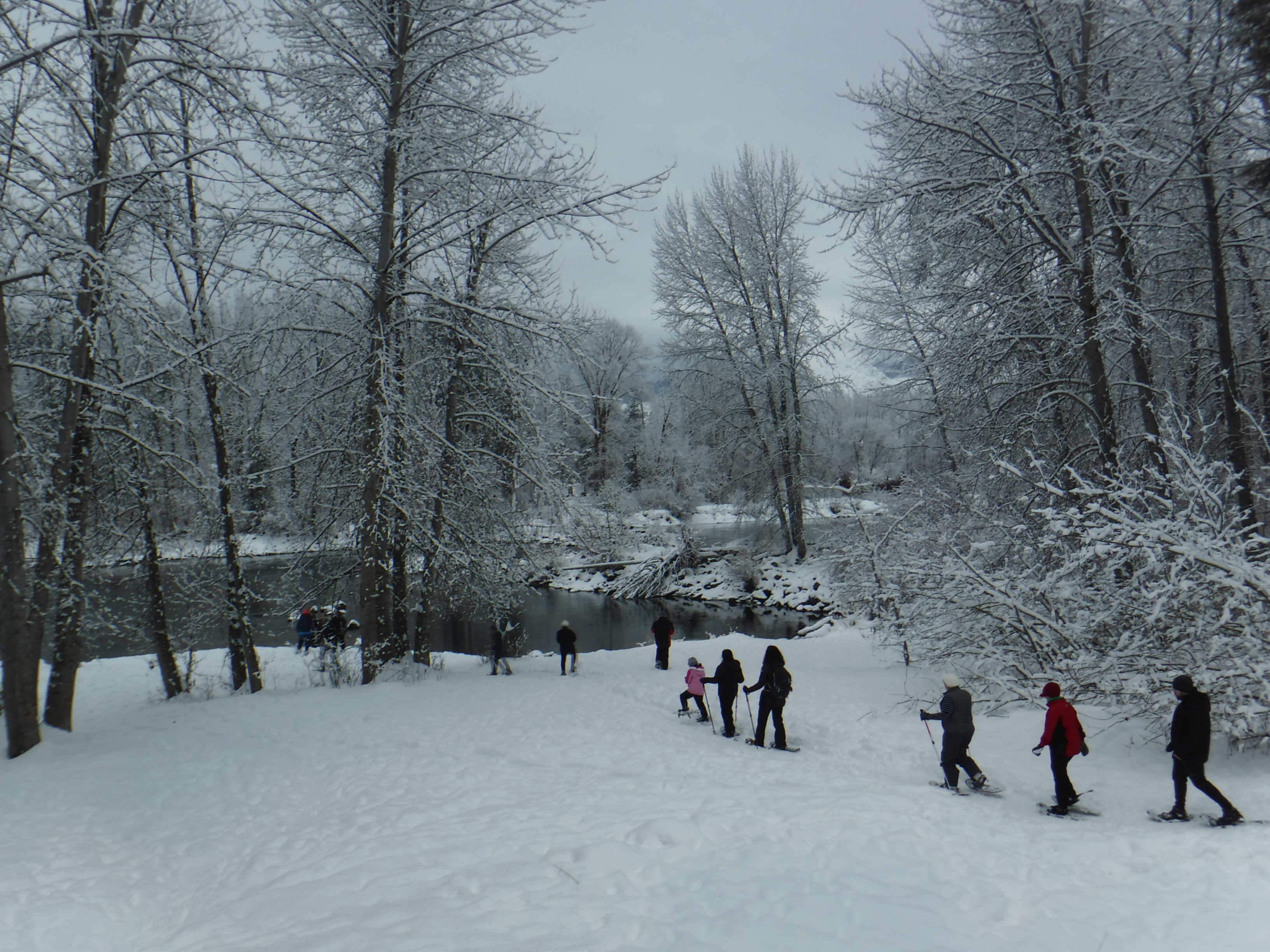 Snowshoe Stroll at WRI!